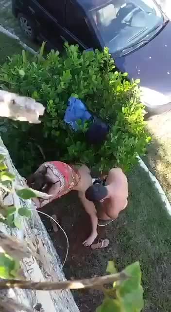 Video casal real flagrados transando no jardim da rua